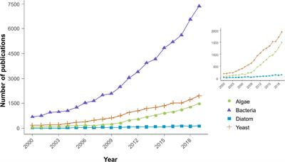 Diatoms Biotechnology: Various Industrial Applications for a Greener Tomorrow